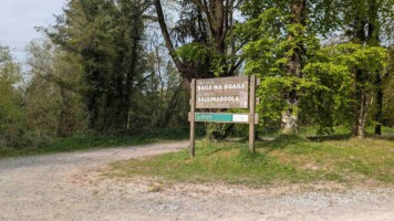 Guided Peatlands and Communities Visioning Walk