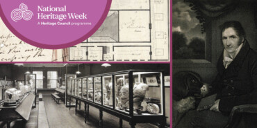 Bones of Contention: Tales from the Foundation of the Old Anatomy Museum