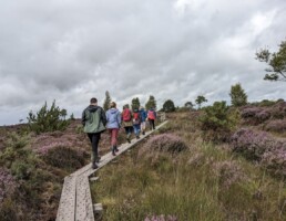 Girley Bog NHA Walk