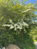 Biodiversity Walk at Gortbrack Organic Farm