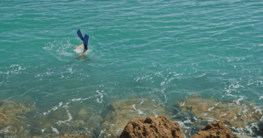 Seagrass SUP & Snorkel