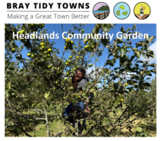 Tour of Headlands Community Garden