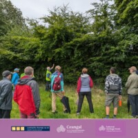 Commons of Lloyd Hedgerow Walk and Talk