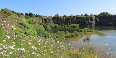 Other Nations: Biodiversity along the Boyne Greenway