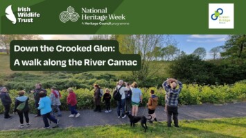 Down the Crooked Glen – A walk along the River Camac