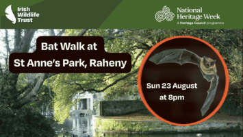 Bat Walk at St Anne's Park