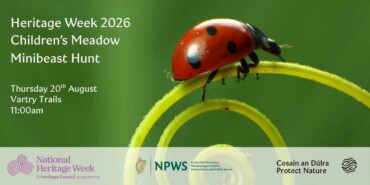 National Heritage Week: Children's Meadow Minibeast Hunt