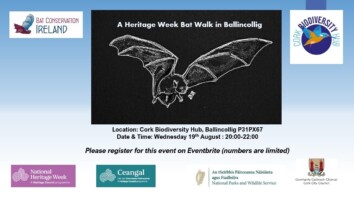 A National Heritage Week Bat Walk in Ballincollig Regional Park