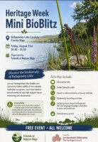 Heritage Week Mini BioBlitz