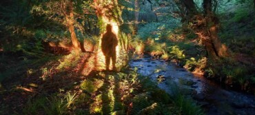 Exploring the Soul and Science of a Native Woodland in the Blackwater Valley in North Cork