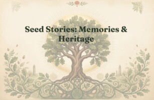 Seed Stories: Memories & Heritage
