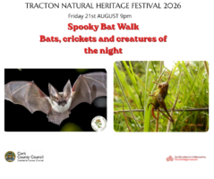 Spooky Bat & Cricket Walk