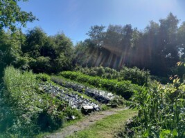 Biodiversity Walk at Gortbrack Organic Farm