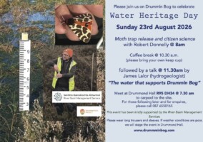 Drummin Bog; It's Moths, It's Water