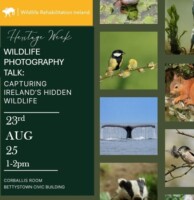 Wildlife Photography Talk - Capturing Ireland’s Hidden Wildlife