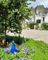 Tours of Huntington Castle, Co. Carlow