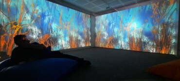 The Peatlands Immersive Experience - Monasterevin