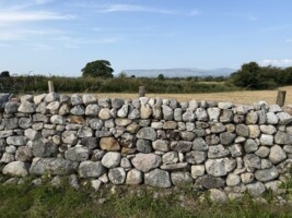 Stone by Stone: Dry Stone Wall restoration at Carrowmore