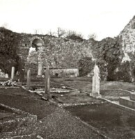Friends of Tyone Abbey Heritage Week Event
