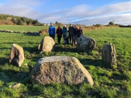 The Bronze Age monuments of Carriganima