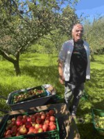 Apples in Ireland; Origins, Heritage, Folklore.