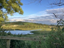 From Gallanes Lough Clonakilty to Sketchbook