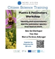 Plants and Pollinators Workshop