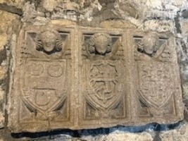 Faces and Family Crests Exploration Afternoon