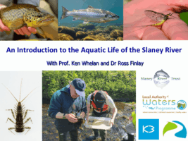 An Introduction to the Aquatic Life of the Slaney River