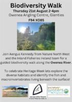 Glenties IFI Nature Exploring