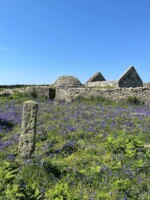 Inishmurray: An Evening of Celebration