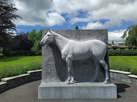 History of the Irish National Stud