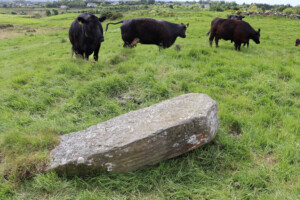 Ogham Stones of County Mayo Exhibition