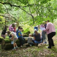 Junior Rangers: Wildlife in the Woods
