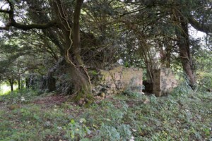 The History of Kilcolmanbane Graveyard
