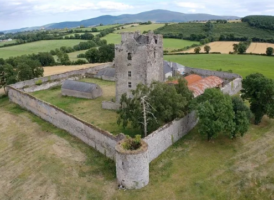 Heritage at Risk: Conserving Knockelly Castle