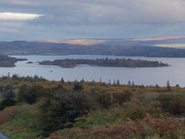Voyages Around the Islands of Lough Gill on the Rose of Innisfree Waterbus