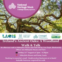 Irelands Ancient Oaks: A Woodland Walk & Talk in Laois