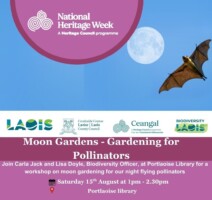 Laois Moon Gardens - Gardening for Pollinators