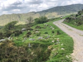 Guided walk: Exploring the prehistoric landscape of the Lost Valley, Inchigeelagh.