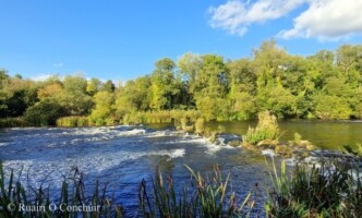 Take Me To The River - The Mighty Lower Shannon