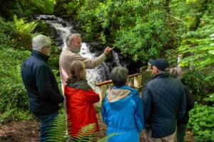 Guided Walk - History, Culture and Nature of Myross Wood