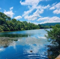 Marlfield History & Nature Walk with Medieval Ink Workshop