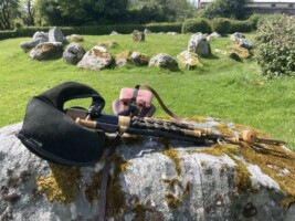 Uilleann Pipes at Boyle Abbey