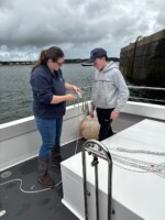 Knot-Tying Workshop on Scattery Island