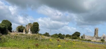Claregalway Medieval Church