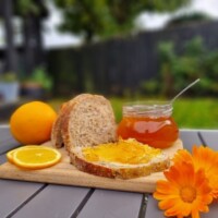 Moate Biodiversity Workshop Preserving the Past through Our Food Culture