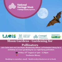 Laois Moon Gardens - Gardening for Pollinators