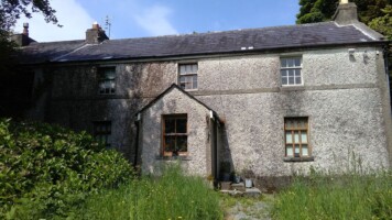Entering the Grey Zone; Thinking about Ireland’s Great Famine with Breandán MacSuibhne