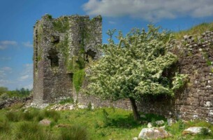 Tour of Conservation Works at Moygara Castle